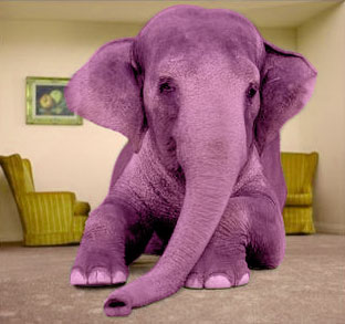 elephant