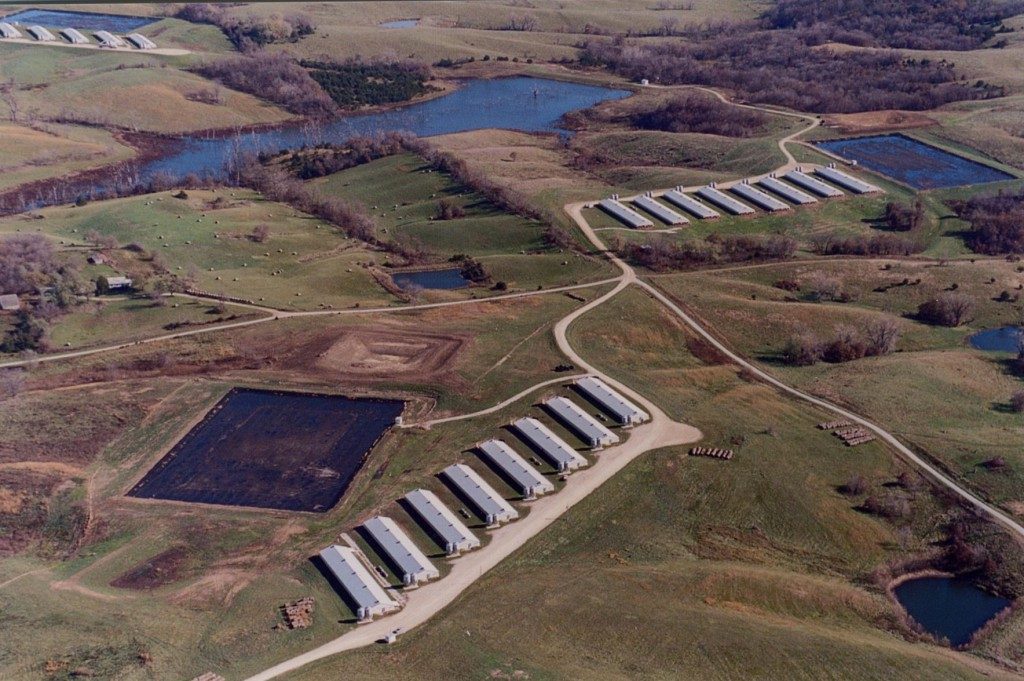 aerial view of pig farm